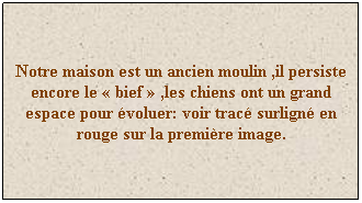 Zone de Texte: Notre maison est un ancien moulin ,il persiste encore le �&nbsp;bief&nbsp;� ,les chiens ont un grand espace pour �voluer: voir trac� surlign� en rouge sur la premi�re image. 

