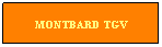 Zone de Texte: MONTBARD TGV
